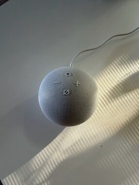 Smart Voice Speaker - Light Gray